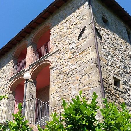 La Collina Dei Franchi Bed & Breakfast Camporgiano Dış mekan fotoğraf
